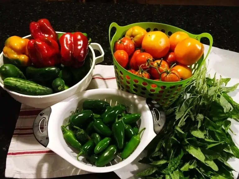 Fresh, Local Ingredients